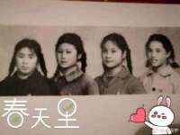 上海市杨浦区李浩浩农产品经营部