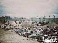 上海市杨浦区李浩浩农产品经营部