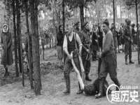 上海市杨浦区李浩浩农产品经营部