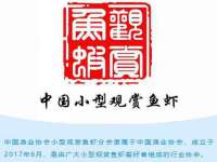 上海市杨浦区李浩浩农产品经营部