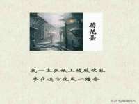 上海市杨浦区李浩浩农产品经营部