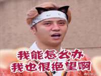 上海市杨浦区李浩浩农产品经营部