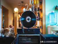 上海市杨浦区李浩浩农产品经营部