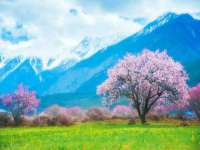上海市杨浦区李浩浩农产品经营部