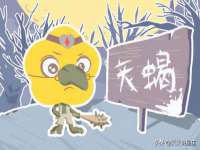 上海市杨浦区李浩浩农产品经营部