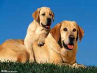 上海市杨浦区李浩浩农产品经营部