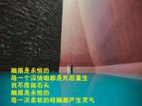 上海市杨浦区李浩浩农产品经营部