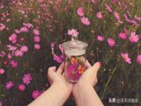 上海市杨浦区李浩浩农产品经营部