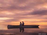 上海市杨浦区李浩浩农产品经营部
