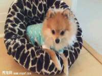 上海市杨浦区李浩浩农产品经营部