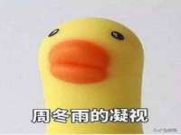 上海市杨浦区李浩浩农产品经营部