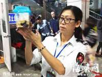 上海市杨浦区李浩浩农产品经营部