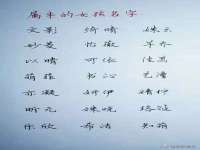 上海市杨浦区李浩浩农产品经营部