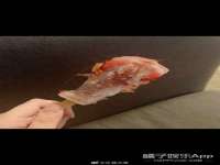 上海市杨浦区李浩浩农产品经营部
